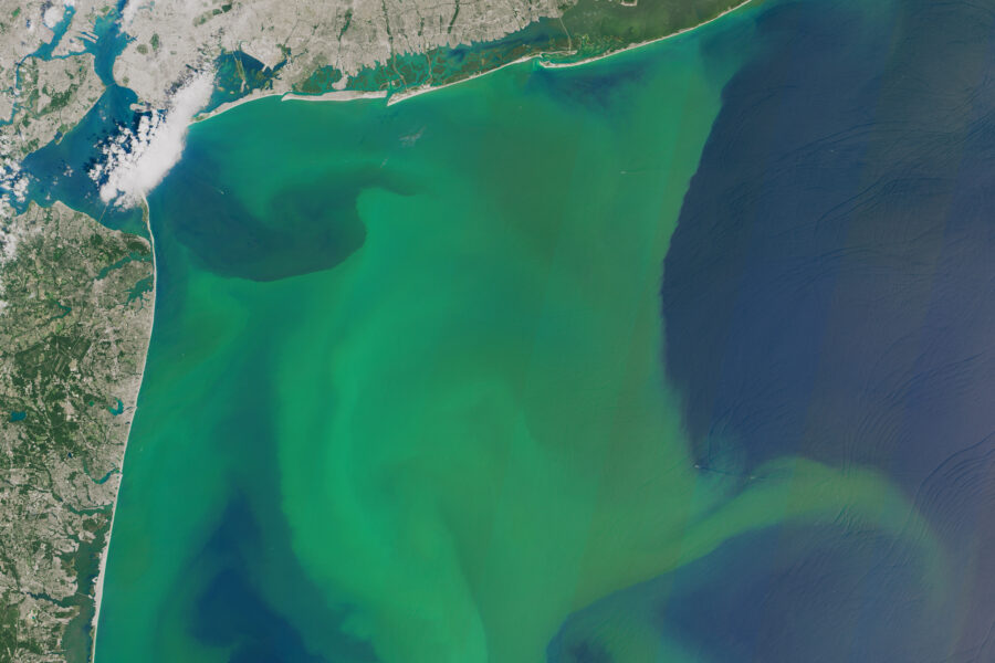 A phytoplankton bloom off the East Coast of the United States shows how the chlorophyll produced by photosynthesis tints the ocean green. A new study finds that concentrations of plankton are declining in many ocean regions. Credit: NASA Earth Observatory