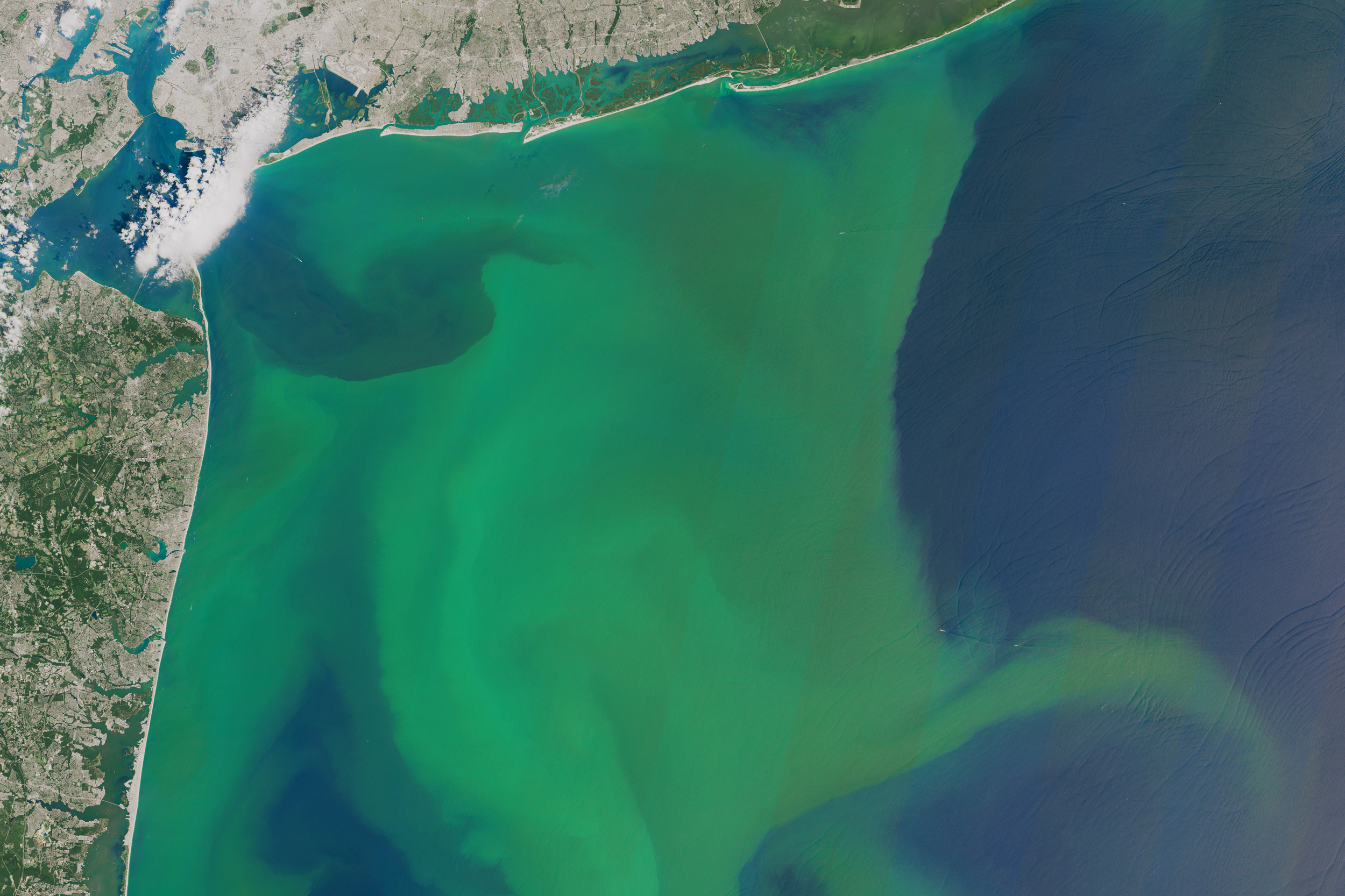 A phytoplankton bloom off the East Coast of the United States shows how the chlorophyll produced by photosynthesis tints the ocean green. A new study finds that concentrations of plankton are declining in many ocean regions. Credit: NASA Earth Observatory