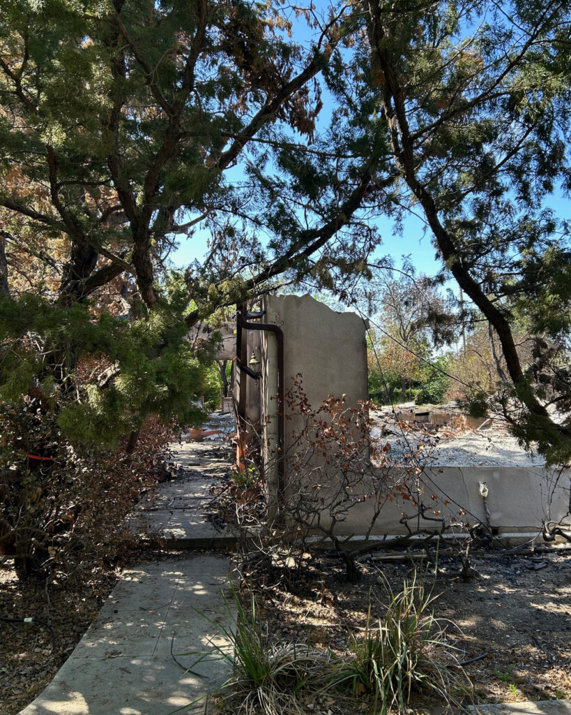 The plants in zone zero around this home in Altadena appear not to have ignited, despite the building burning. Credit: Courtesy of Max Moritz.