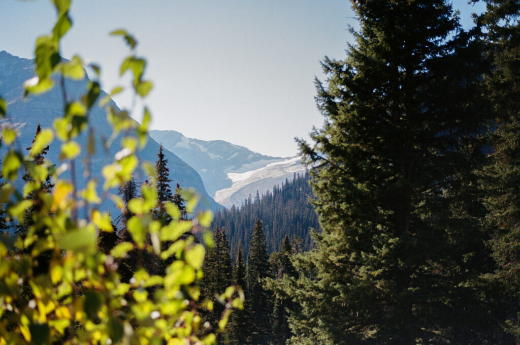 The receding Jackson glacier is seen from a pullover on Going-to-the-Sun Road in Glacier National Park. Credit: Jake Bolster/Inside Climate News