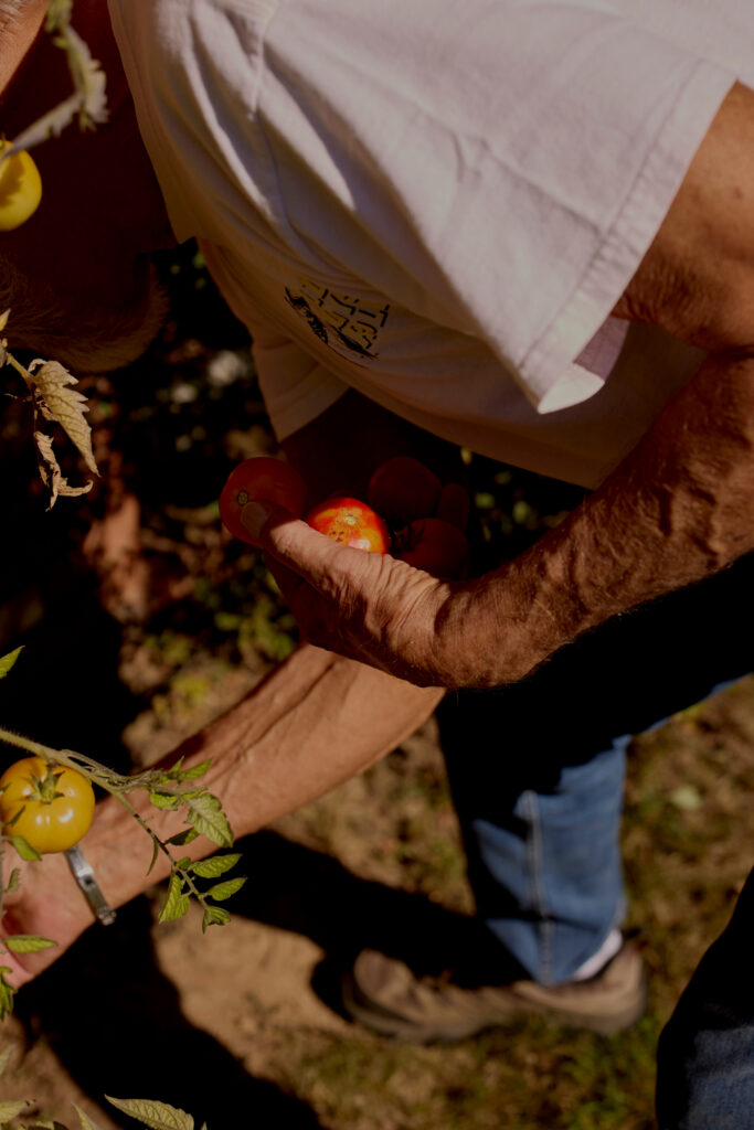 The Meckels had given up gardening when they lived near the coke plant due to the air pollution and fears about soil toxicity. Since their move to a neighboring county, they’ve taken up gardening again. They keep the ashes of their dog Nixon on their mantle.