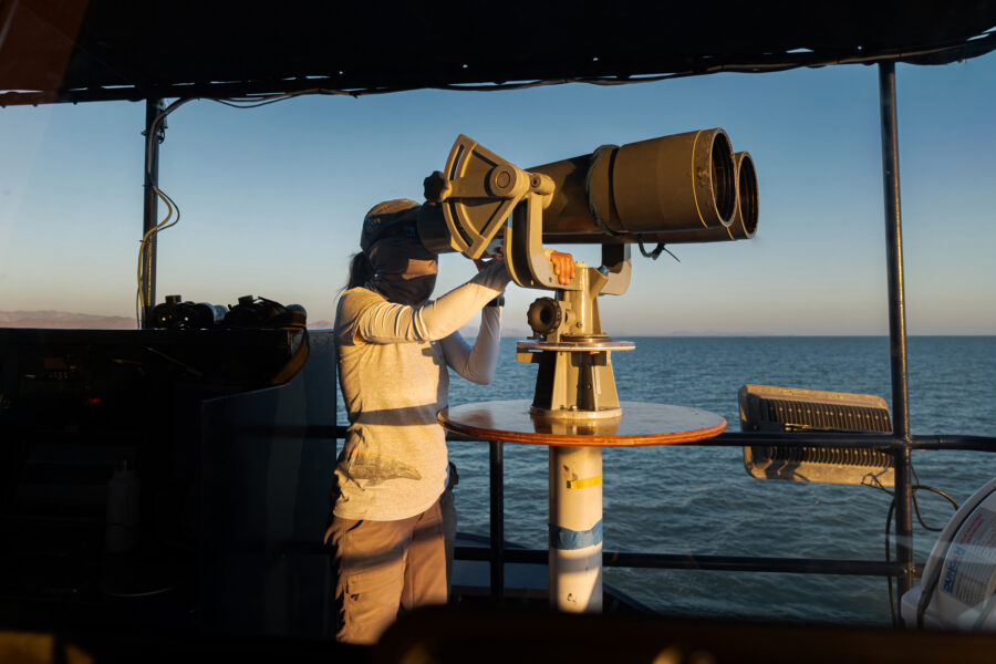 Expert marine mammal researchers used high-powered binoculars called “big eyes” to search for the vaquita porpoises, which are typically hard to see due to their small size and shy nature. Credit: Paula Mosa