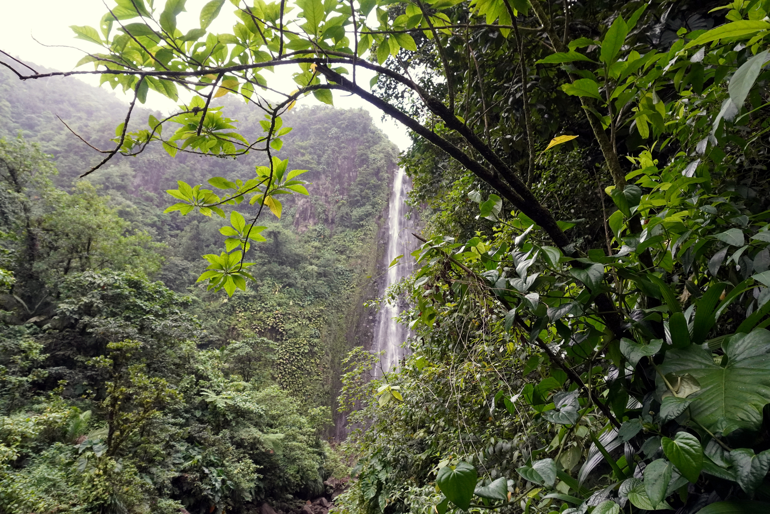 Much of Guadeloupe’s water supply is contaminated with chlordecone, including rivers, waterfalls and harbors. Credit: Mathilde Augustin/Inside Climate News