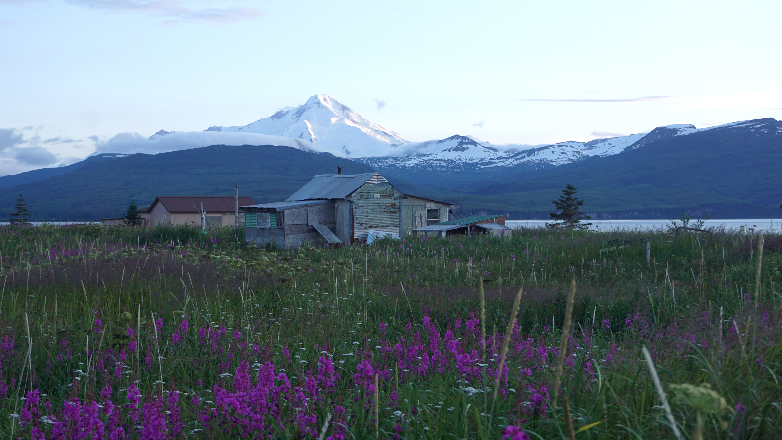 Mount Iliamna, a volcano in Lake Clark National Park, rises above Tuxedni Bay and a commercial fish camp on Chisik Island. Credit: Max Graham/Northern Journal