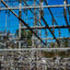 A power substation is seen near Birmingham, Ala. Credit: Lee Hedgepeth/Inside Climate News