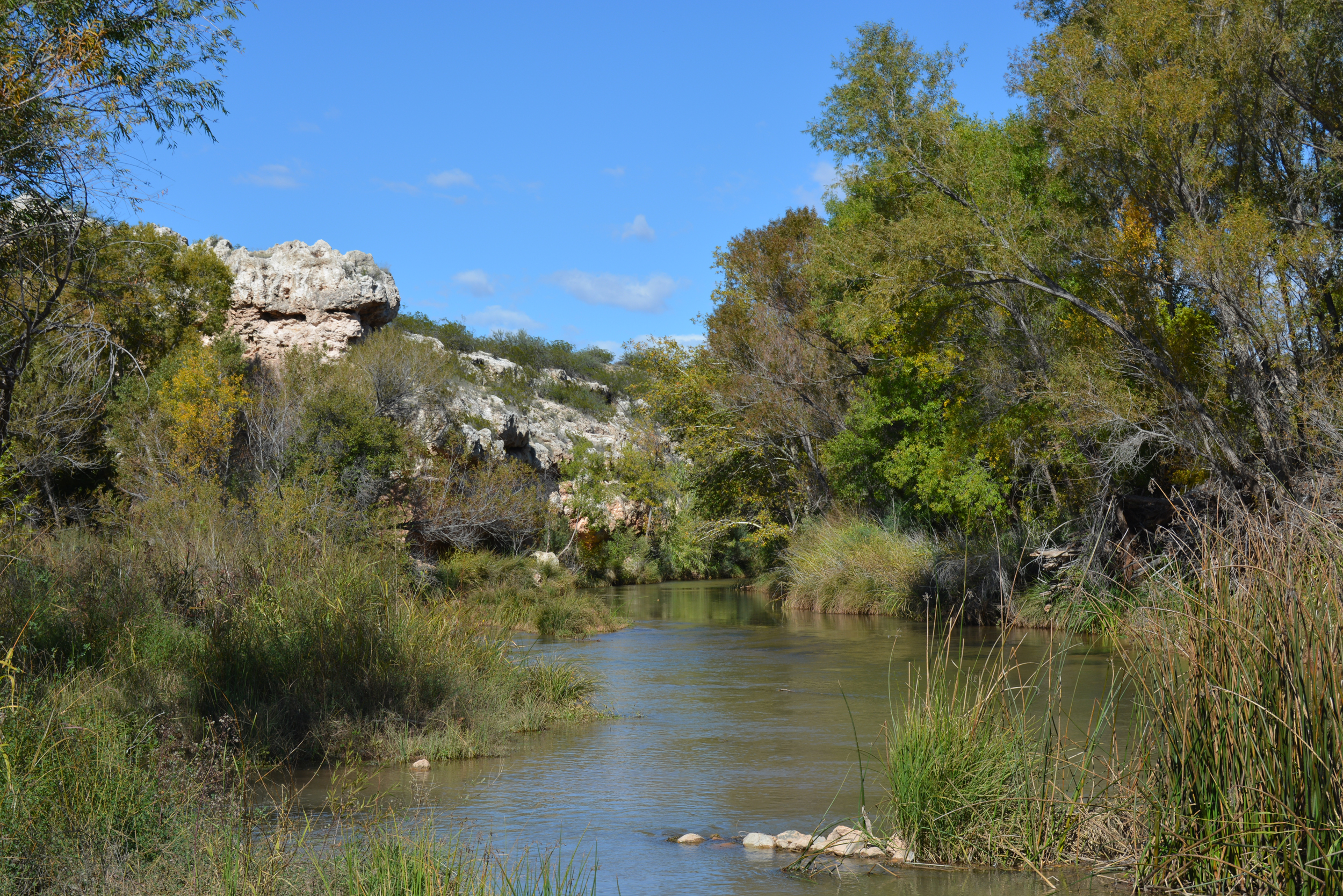 The Verde River is a 193-mile waterway vital to Arizona’s communities, from towns in the Verde Valley to the Phoenix metropolitan area. Credit: Wyatt Myskow/Inside Climate News