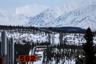 A part of the Trans-Alaska Pipeline System runs through boreal forest near Delta Junction, Alaska. Credit: Mario Tama/Getty Images
