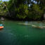 Kayakers paddle near a group of manatees on March 22 in Crystal River, Fla. Credit: Thomas Simonetti for The Washington Post via Getty Images