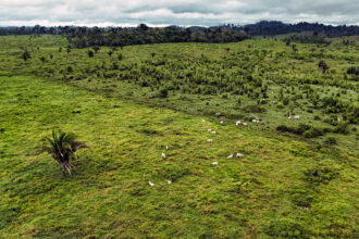 A degraded area of the Amazon rainforest near Koatinemo Indigenous land in Brazil on June 12. Credit: Carlos Fabal/AFP via Getty Images