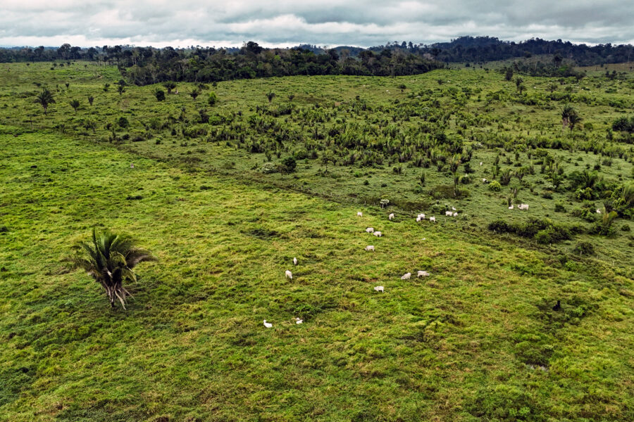 A degraded area of the Amazon rainforest near Koatinemo Indigenous land in Brazil on June 12. Credit: Carlos Fabal/AFP via Getty Images