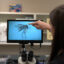 Hannah Livesay, biologist at the Grand River Mosquito Control District, points out the characteristic white markings of an Aedes aegypti mosquito shown under a microscope at her lab in Grand Junction, Colo.