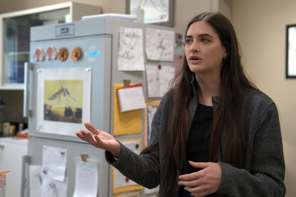 Hannah Livesay, biologist at the Grand River Mosquito Control District, explains at her lab in Grand Junction how warmer winters likely make it easier for an invasive species of mosquito to survive in Colorado.
