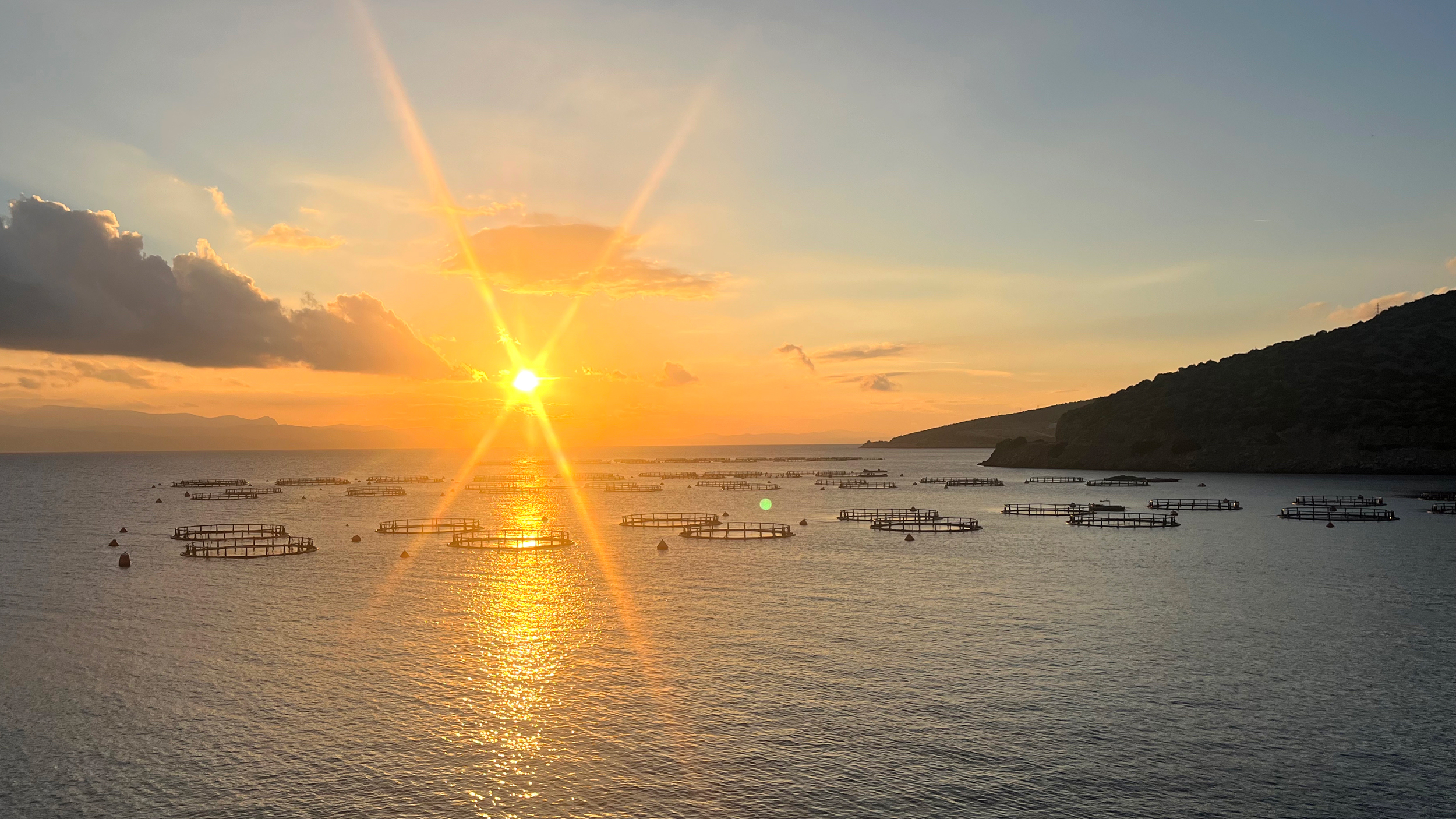 A fish farm near the town of Aliveri in Evia. Credit: Moira Lavelle/Inside Climate News