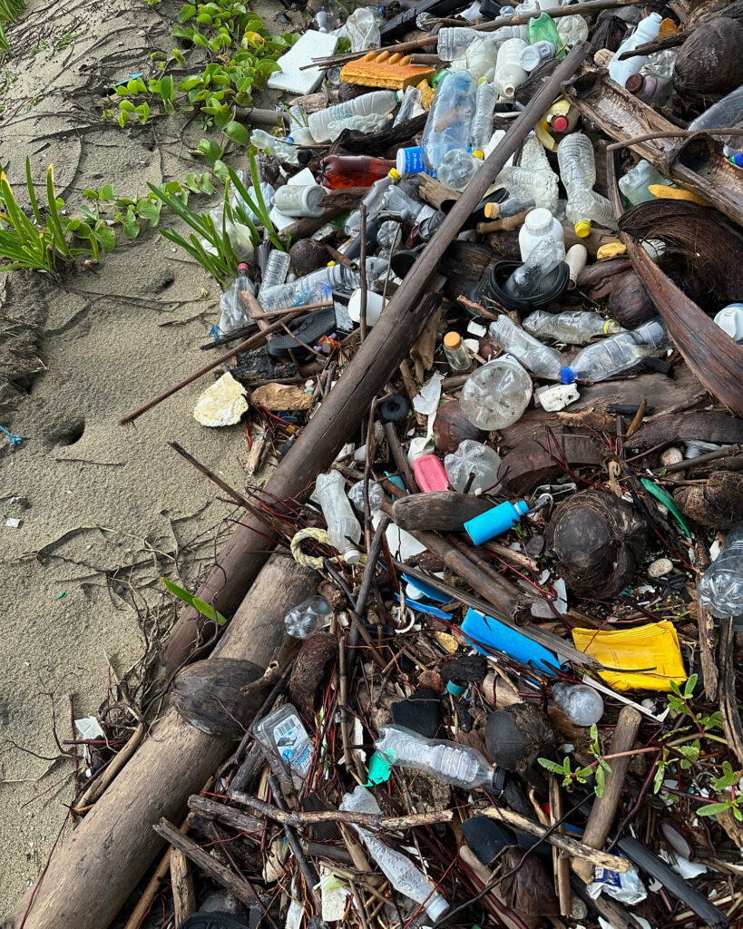 Some of the most harmful debris swallowed by wildlife includes single-use plastics like bottles, bags, foam packaging, food labels, takeout containers, straws and utensils. Credit: Teresa Tomassoni/Inside Climate News