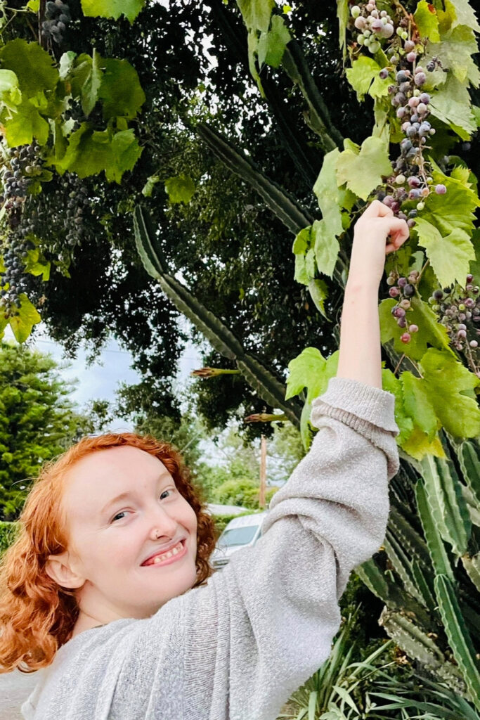 Kate Alexandria in her front yard before the Eaton Fire (left), and the charred remains of the plants left in it’s wake. Credit: Courtesy of Kate Alexandria