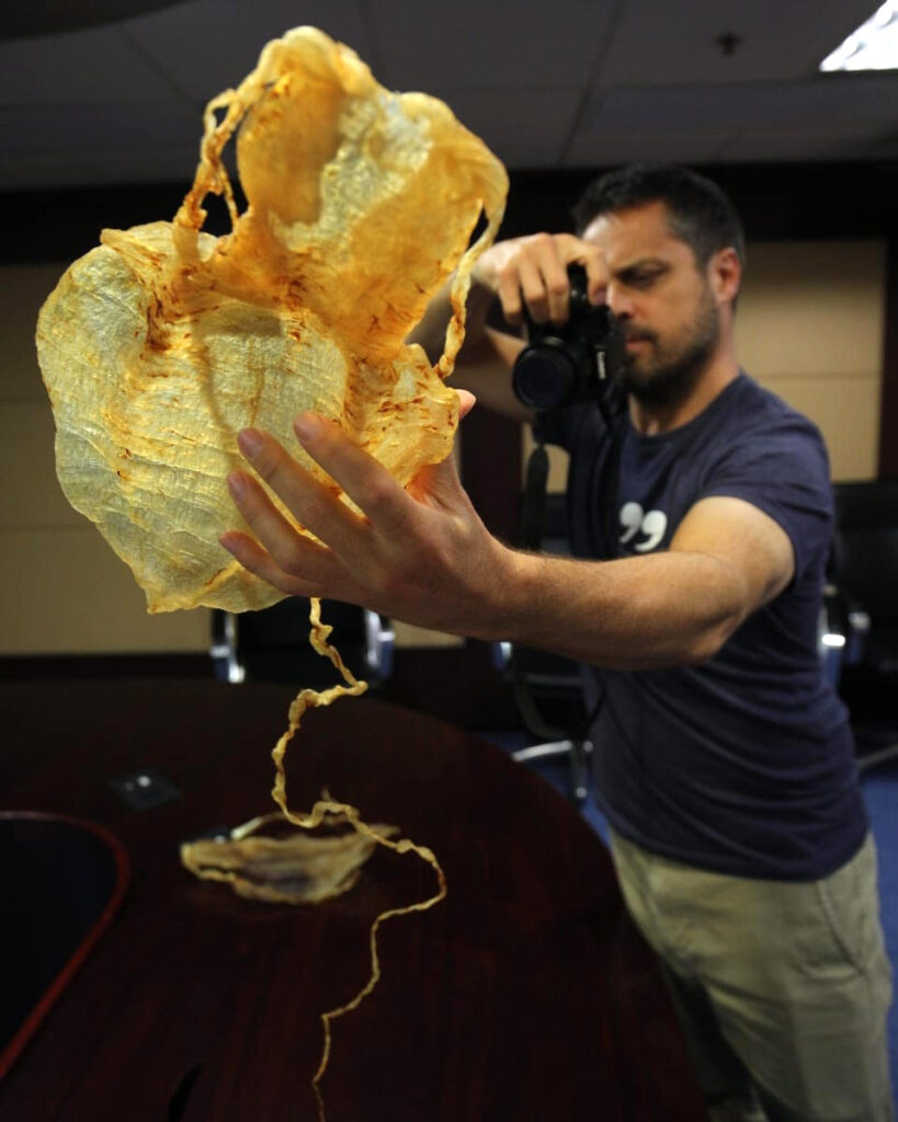 Andrea Crosta inspects a dried totoaba bladder that was seized by law enforcement. Credit: Courtesy of Earth League International