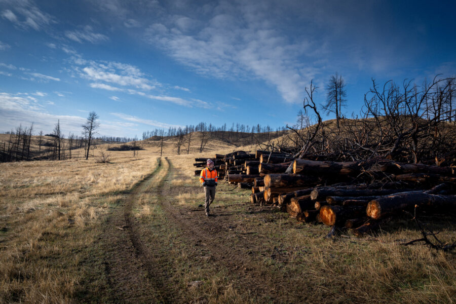 Rebecca Gentry lost more than 50,000 trees on her family’s ranch during the 2021 PF Fire near Hardin, Mont. Credit: Mast Reforestation