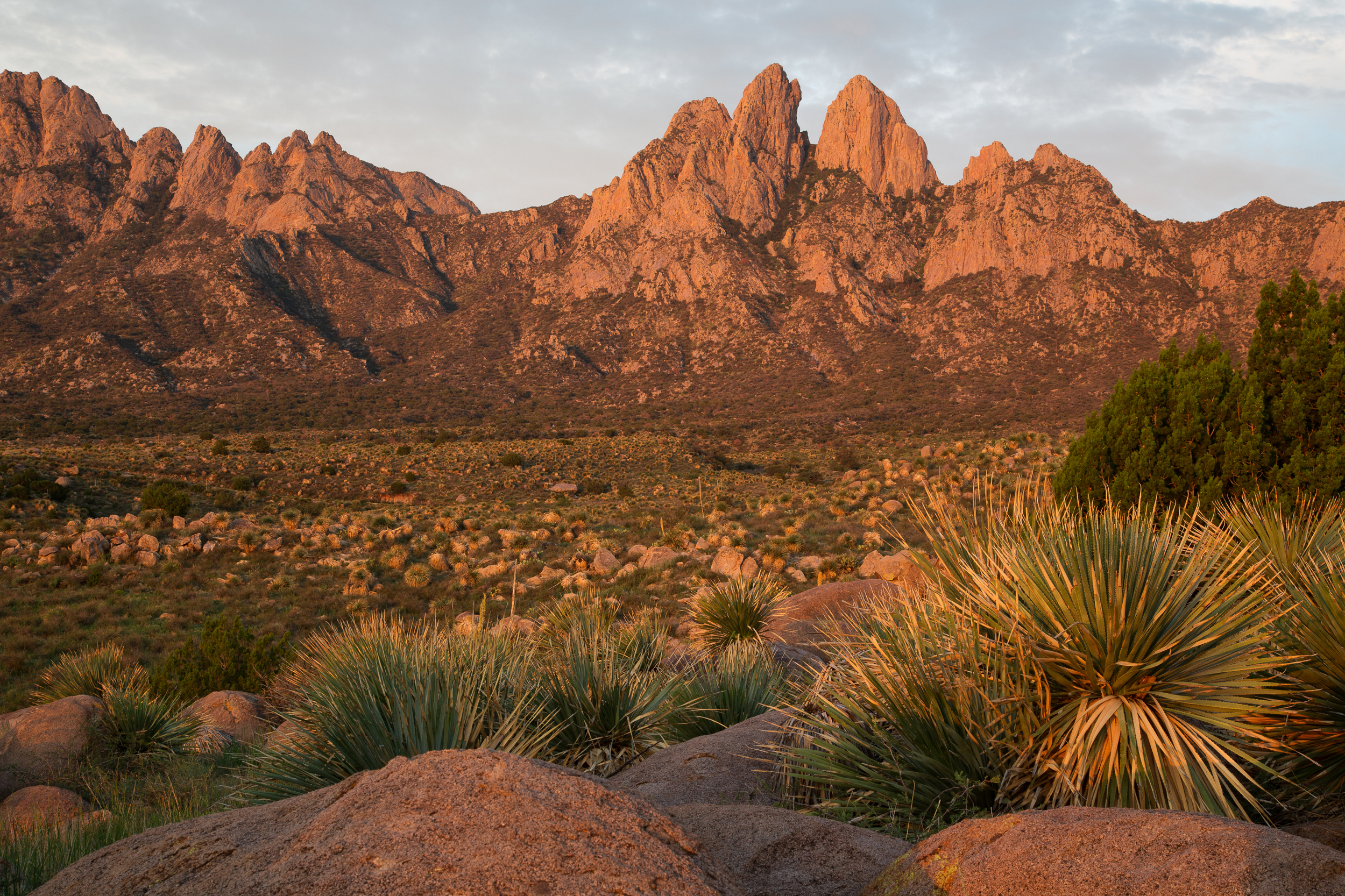 A view of the Organ Mountains-Desert Peaks National Monument in south-central New Mexico. Credit: Bureau of Land Management