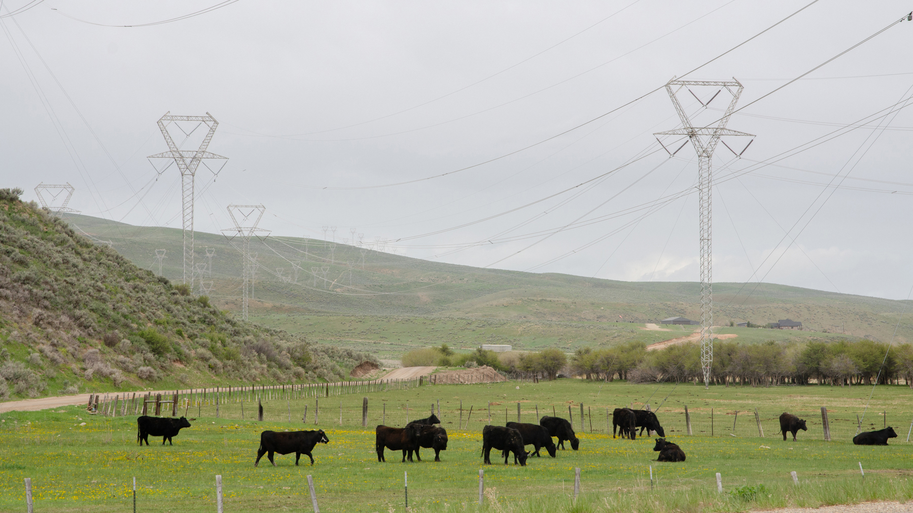 Rocky Mountain Power transmission lines run across both Teichert’s and Thornock’s property, and there may soon be more here if the utility decides to run its Gateway West transmission project through this corridor.