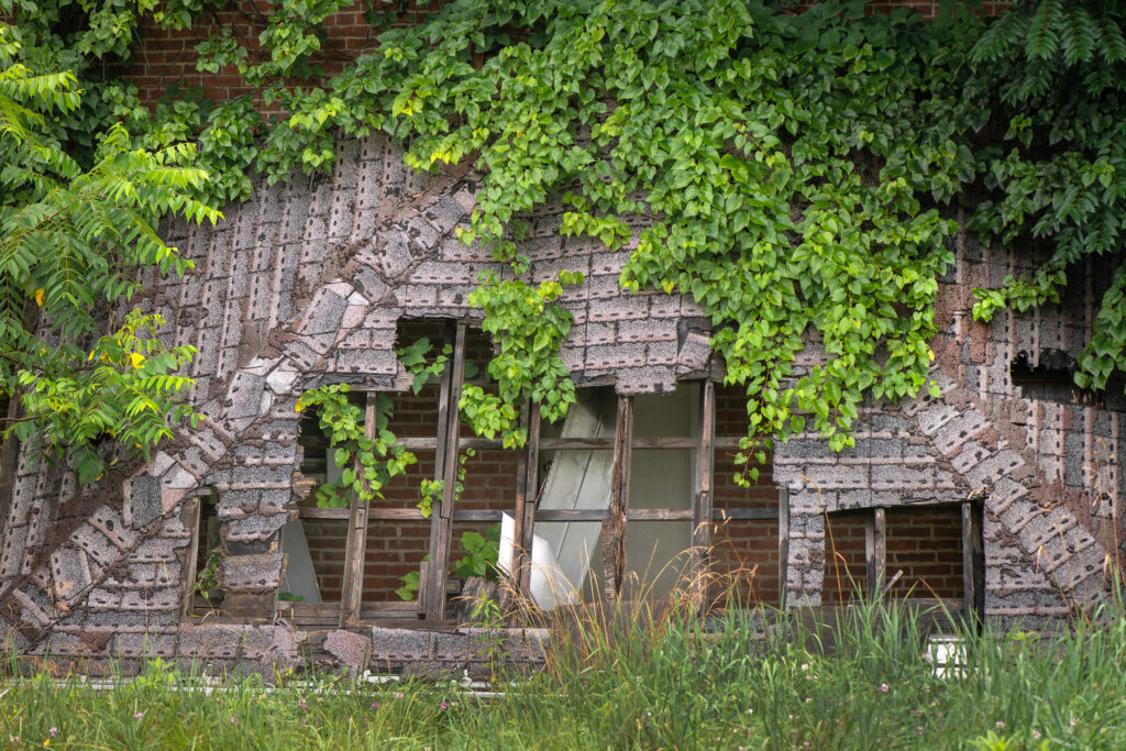 Plants grow through the walls and roofs of abandoned houses on the edge of the Westmoreland Sanitary Landfill property.