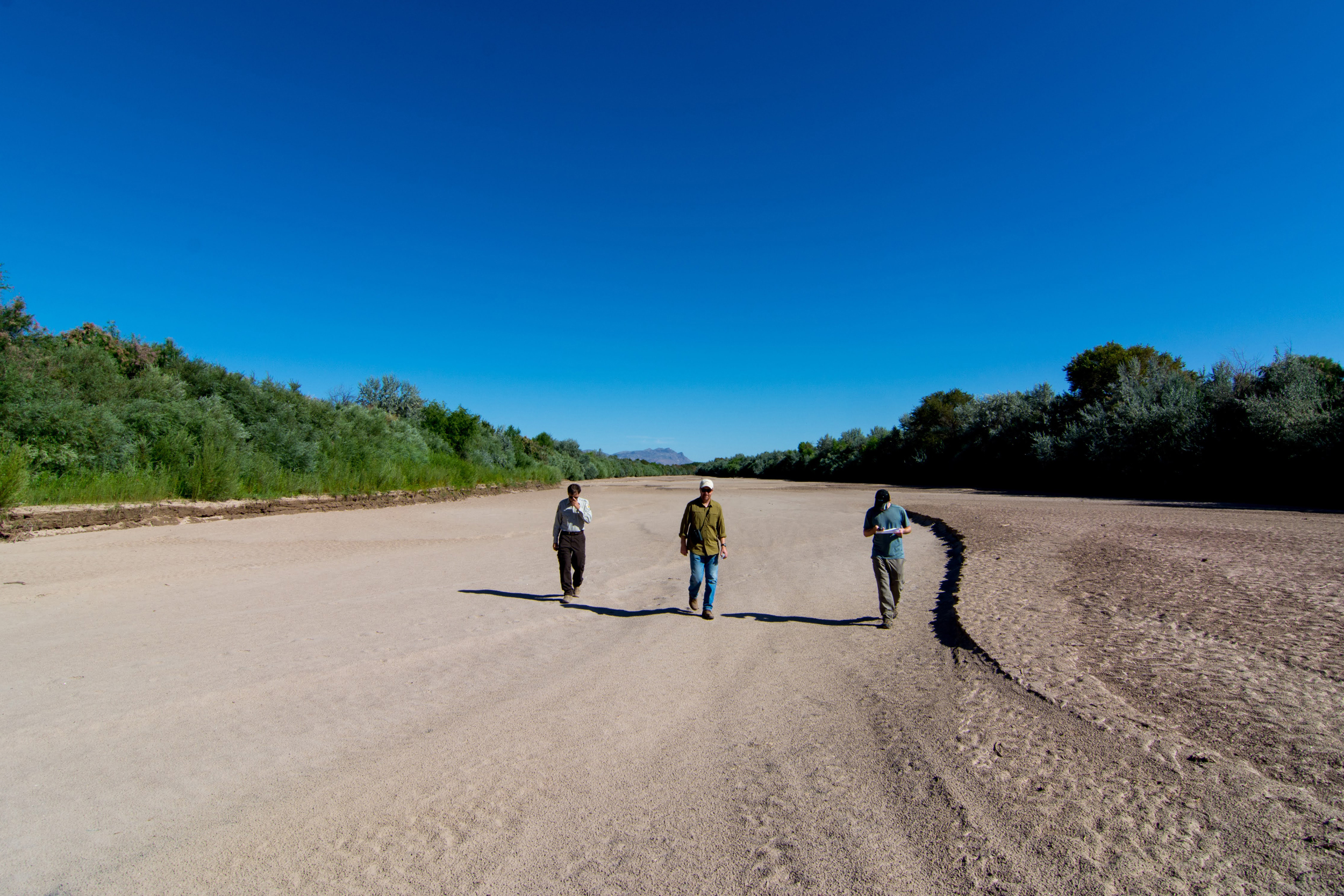 Representatives from Audubon Southwest collect data along the dry Rio Grande at Bosque del Apache National Wildlife Refuge in San Antonio, N.M. Credit: Paul Tashjian