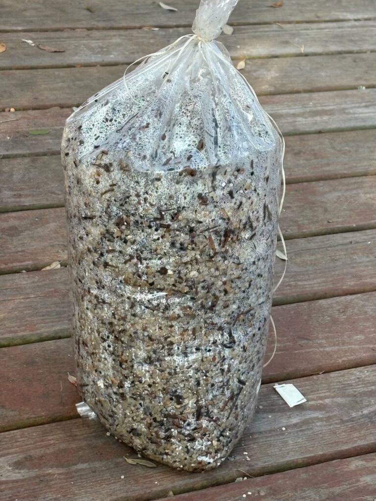 Plastic pellets gathered over 10 minutes near a wastewater outfall from Dow's Seadrift facility. Courtesy of Diane Wilson