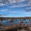 A general view of the New York is seen behind the Hackensack River alongside wetlands in Secaucus, New Jersey, on Jan. 11, 2021. Credit: Islam Dogru/Anadolu Agency via Getty Images