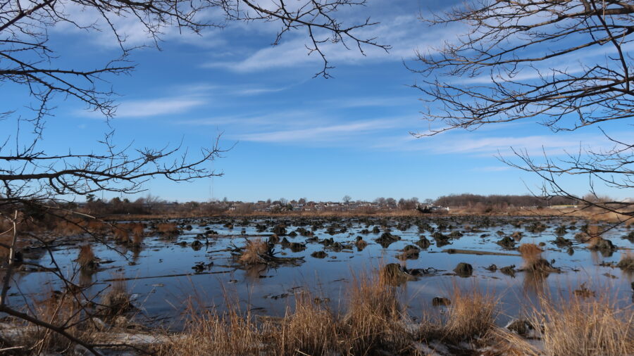 A general view of the New York is seen behind the Hackensack River alongside wetlands in Secaucus, New Jersey, on Jan. 11, 2021. Credit: Islam Dogru/Anadolu Agency via Getty Images