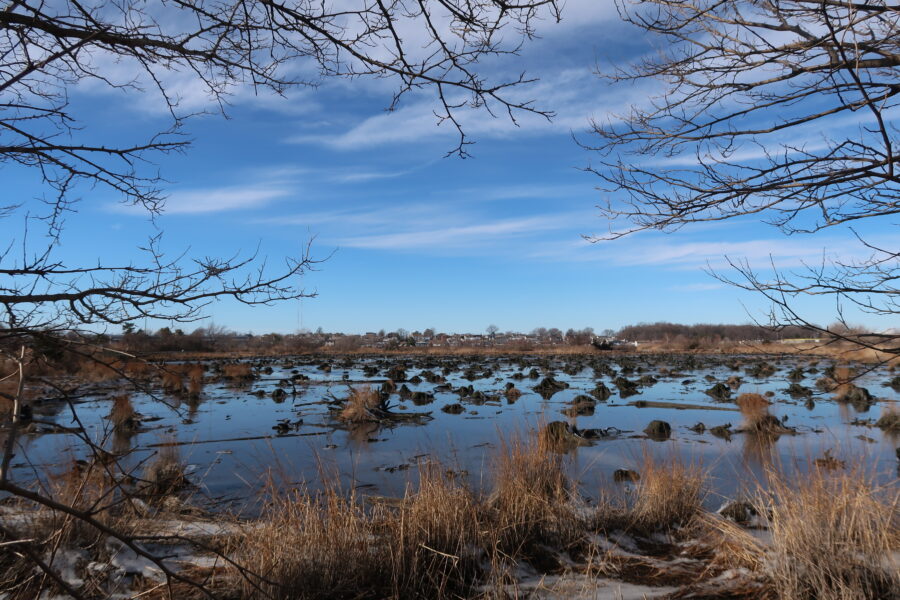 A general view of the New York is seen behind the Hackensack River alongside wetlands in Secaucus, New Jersey, on Jan. 11, 2021. Credit: Islam Dogru/Anadolu Agency via Getty Images