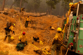 Firefighters with the U.S. Forest Service prepare a hoselay on a hillside during the Park Fire in Tehama County, Calif., on July 27, 2024. Credit: Stephen Lam/San Francisco Chronicle via Getty Images