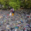 A volunteer from the Ecological Observation and Wetlands Conservation collects plastic waste from a mangrove swamp on July 26 in Surabaya, Indonesia. Credit: Juni Kriswanto/AFP via Getty Images