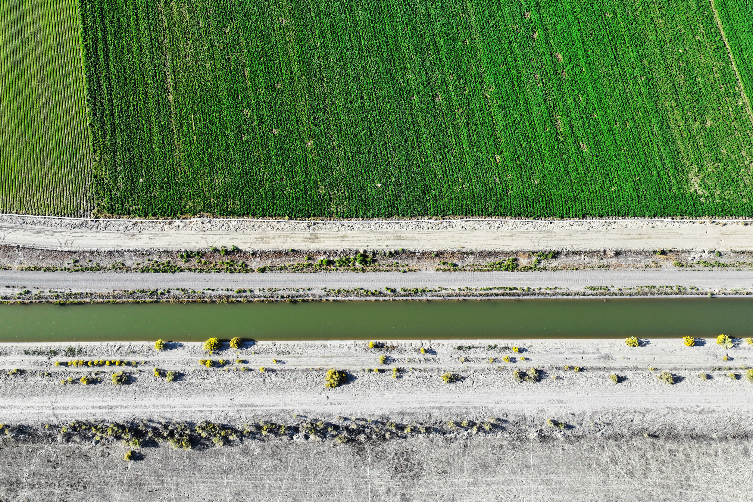 Colorado River water flows through a canal supplying irrigation to farms in Loma, Colo. Credit: RJ Sangosti/MediaNews Group/The Denver Post via Getty Images