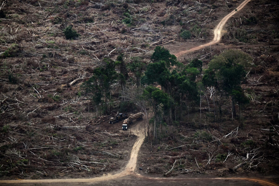 Trucks carry wood from a deforested area of the Amazon rainforest on Nov. 12 near Belem, Brazil. Credit: Mauro Pimentel/AFP via Getty Images