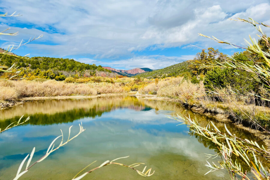 Deer Springs Ranch in Utah relies on water that filters from the Paunsaugunt Plateau through the Grey Cliffs of Grand Staircase. Coal mining in the area could put the water supply at risk. Credit: Jackie Grant/Grand Staircase Escalante Partners