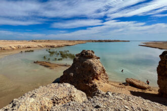 Rare desert wetlands at the southern tip of the Sinai Peninsula could be wiped by global warming before the end of the century, a new report on climate change in the Arab region warns. Credit: Bob Berwyn/Inside Climate News
