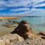 Rare desert wetlands at the southern tip of the Sinai Peninsula could be wiped by global warming before the end of the century, a new report on climate change in the Arab region warns. Credit: Bob Berwyn/Inside Climate News