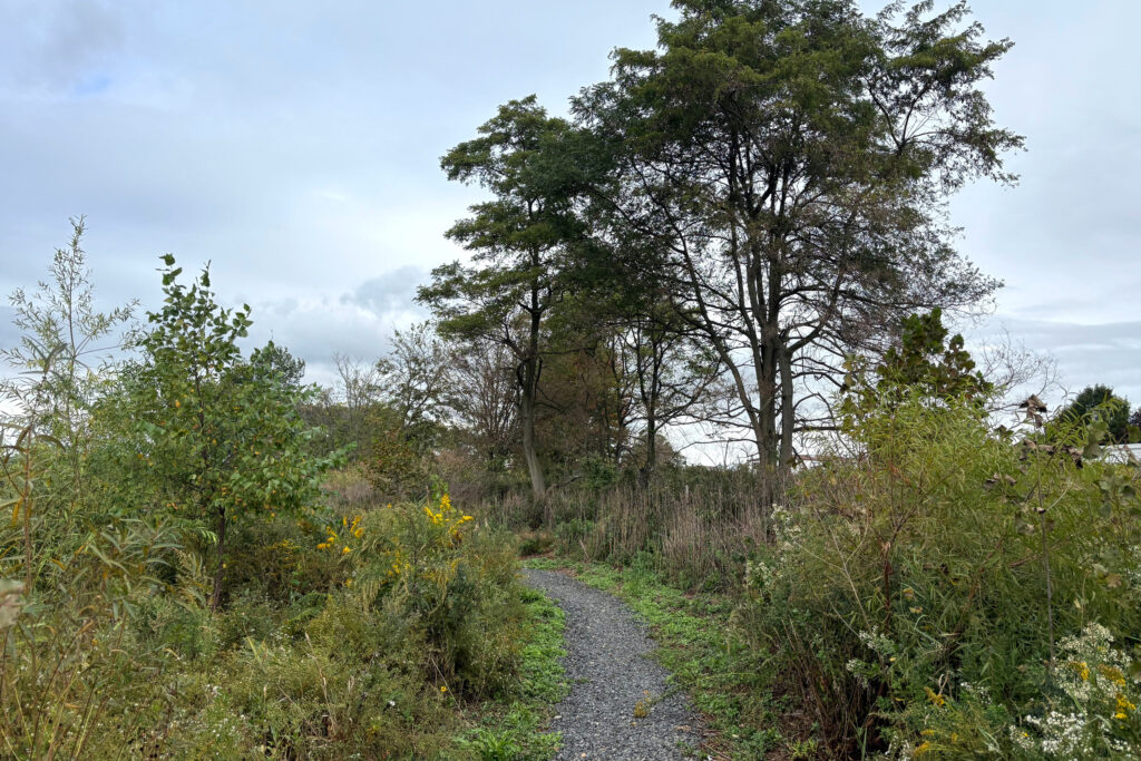 Trees and bushes line the path.