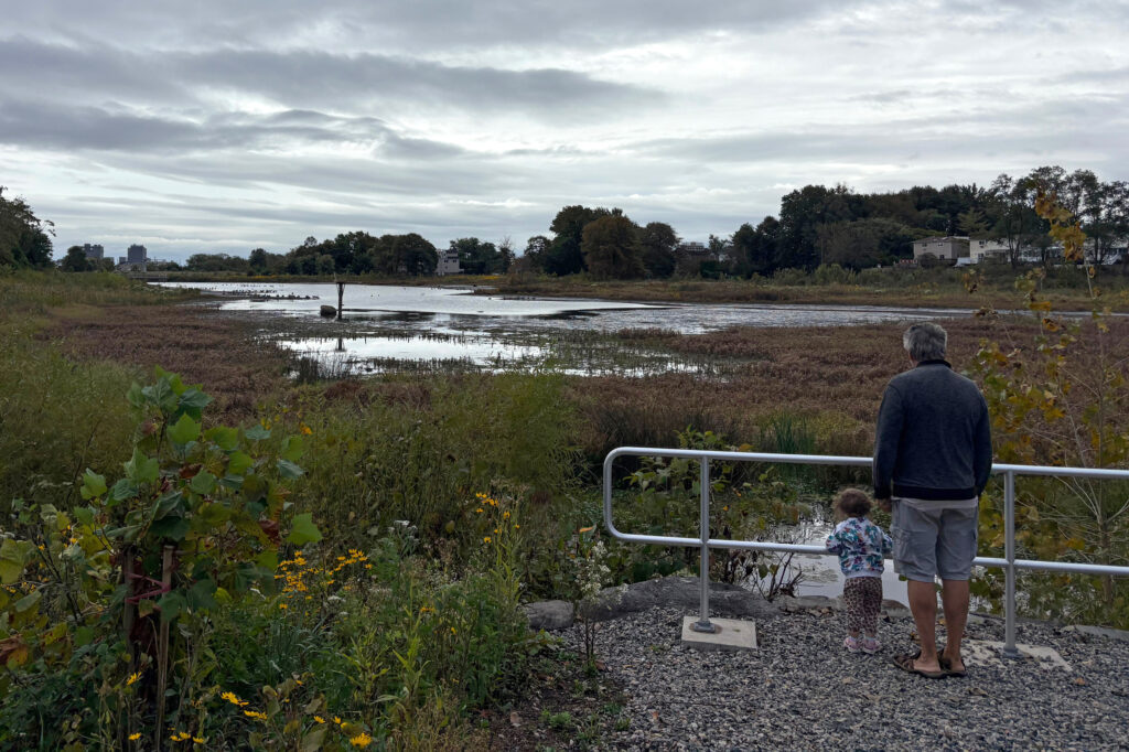 Why NYC Is Spending Millions on ‘Bluebelts’