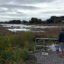 An adult and child look out over the bluebelt on a cloudy day.