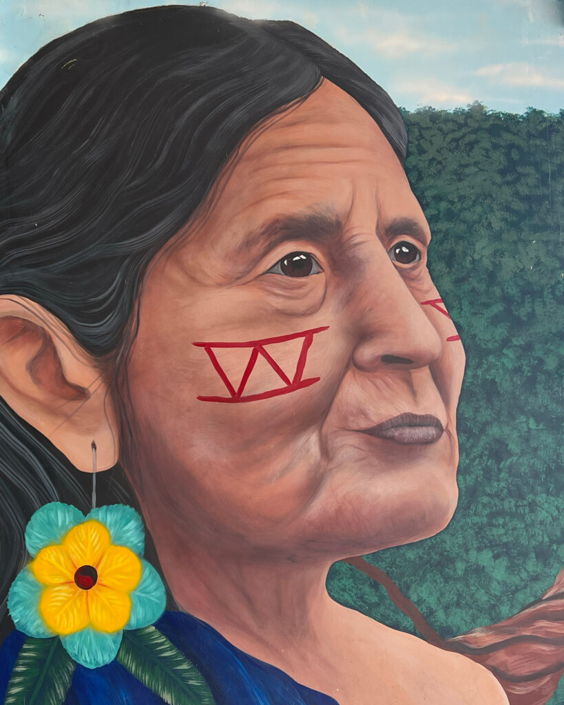 A mural of an Indigenous woman in the city of Limón Indanza. The town is a gateway to the wider Ecuadorian Amazon region. Credit: Katie Surma/Inside Climate News