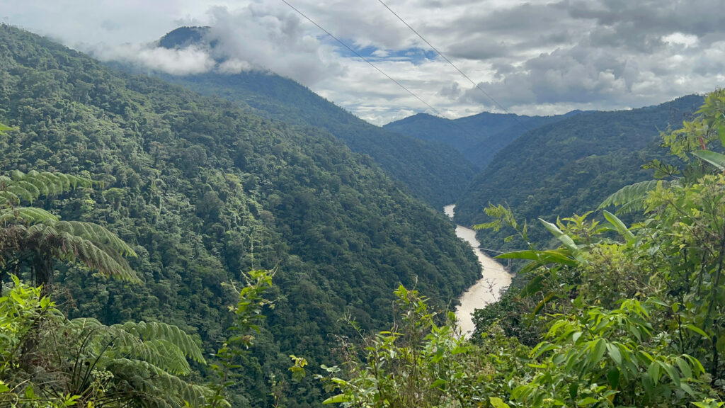 The Ecuadorian Amazon near Limón Indanza. Credit: Katie Surma/Inside Climate News