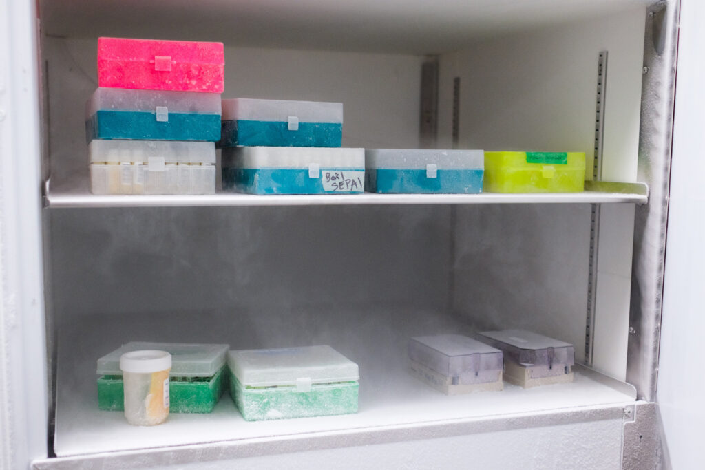 At Jane Hoppin’s lab, vials are preserved at extremely low temperatures. Credit: Cornell Watson/Inside Climate News