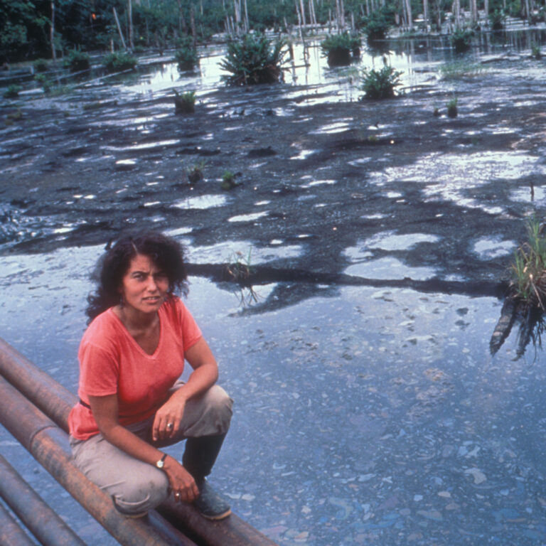 Chevron Polution Latest Twist in Chevron’s Amazon Pollution Saga: Ecuador Ordered to Pay ...