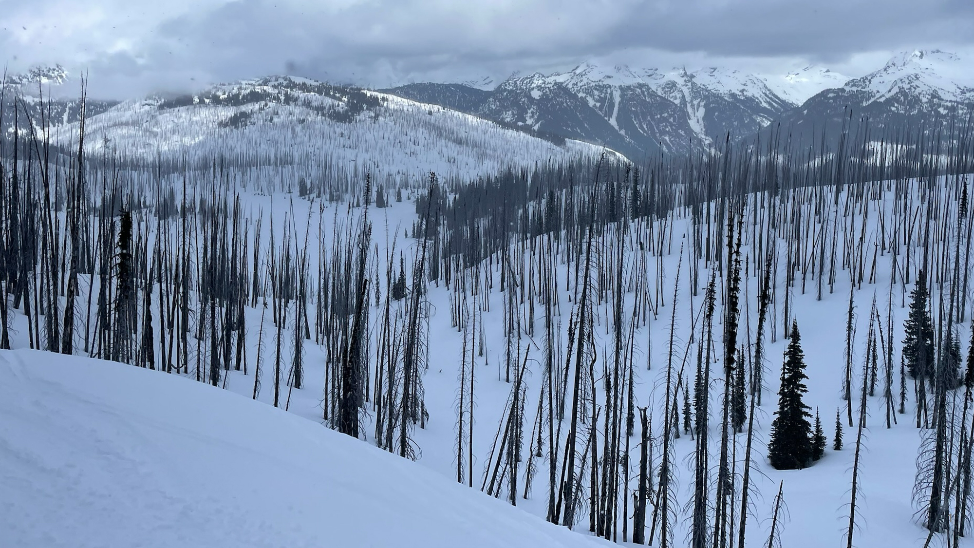 A large burn scar in the Northern Rocky Mountains. Post-fire changes to the snowpack vary significantly across the West’s diverse landscapes. Credit: Arielle Koshkin