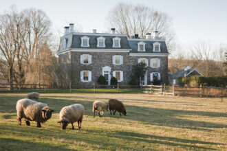 Sheep graze in front of the Woolverton Inn in Stockton, New Jersey. Credit: Jumping Rocks/Education Images/Universal Images Group via Getty Images