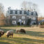 Sheep graze in front of the Woolverton Inn in Stockton, New Jersey. Credit: Jumping Rocks/Education Images/Universal Images Group via Getty Images