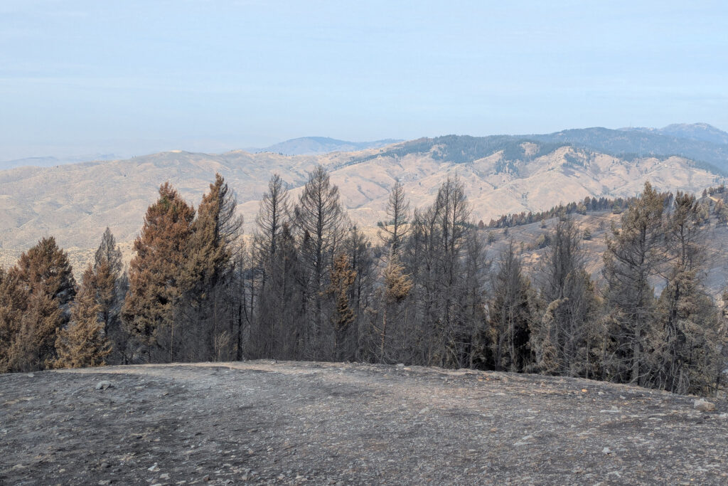 The view from Lucky Peak one week after the Valley Fire. Credit: Heidi Ware Carlisle