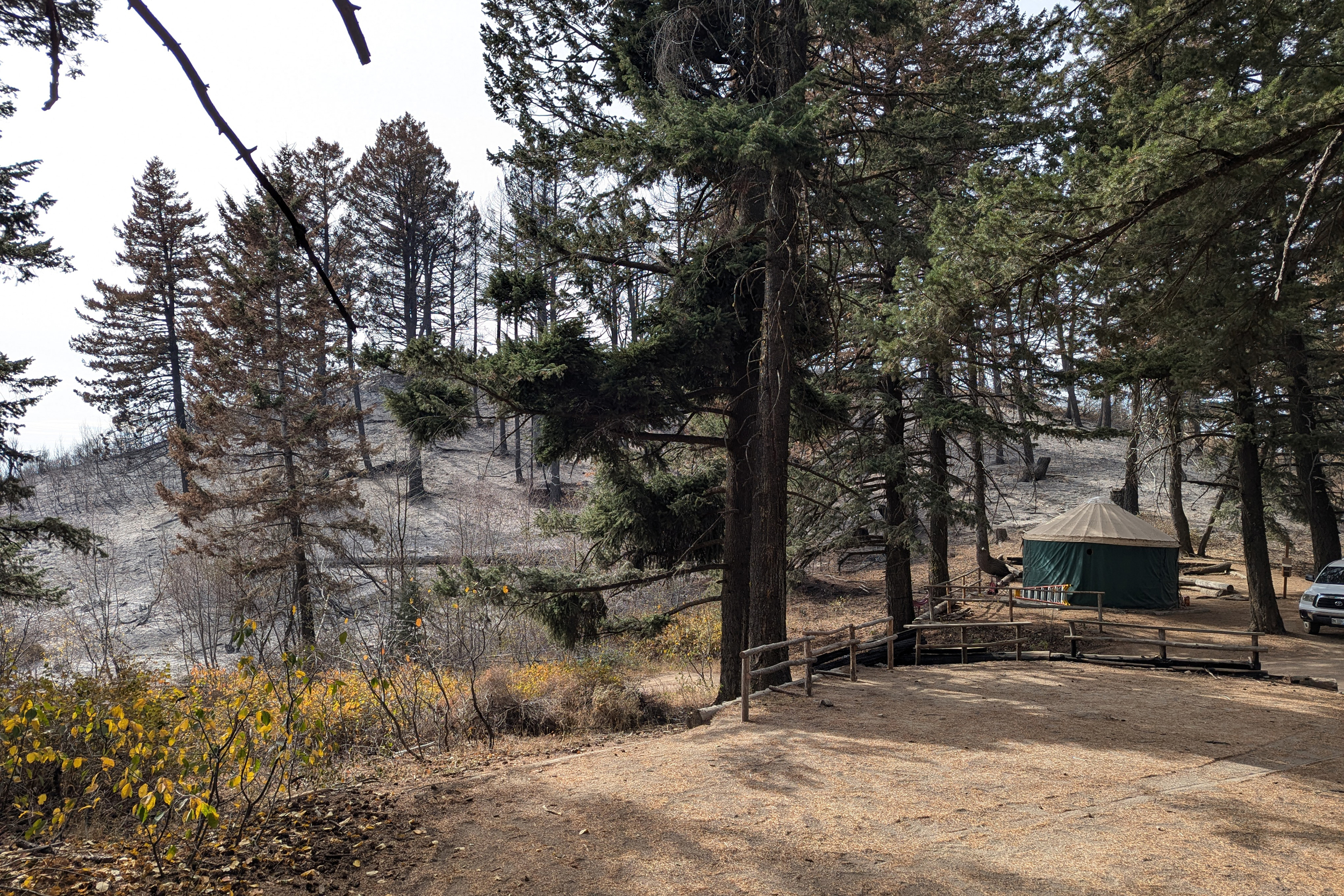 A view of the Lucky Peak main camp surrounded by charred trees. Credit: Heidi Ware Carlisle
