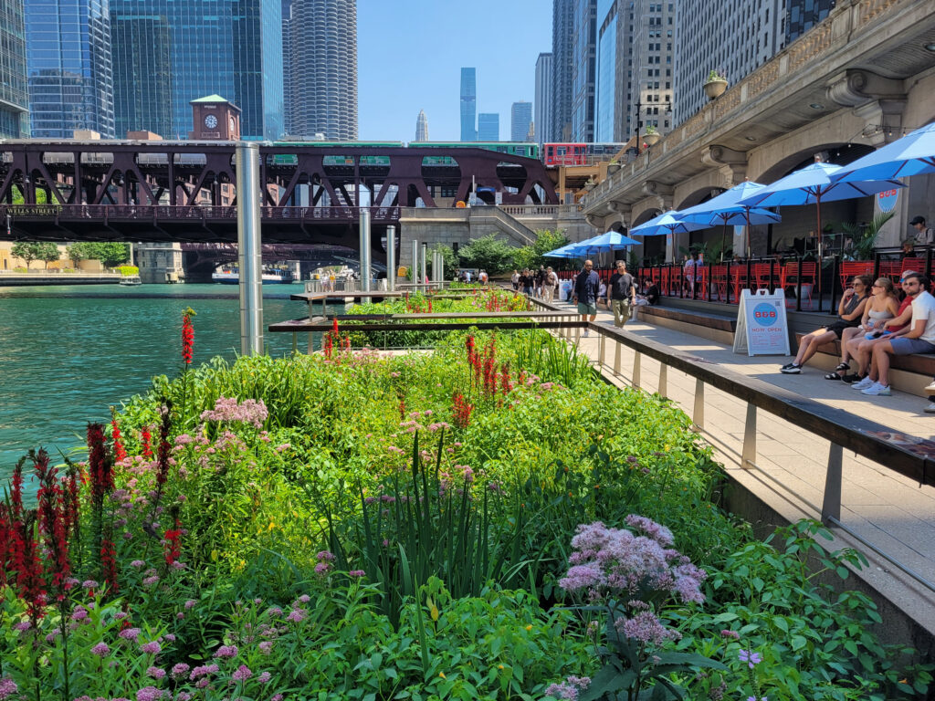A view of the Chicago riverwalk in the city’s downtown. Credit: Courtesy of Becky Lyons