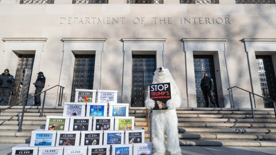 The environmentalist is holding a sign that says, “Stop Trump’s Extinction Plan.”